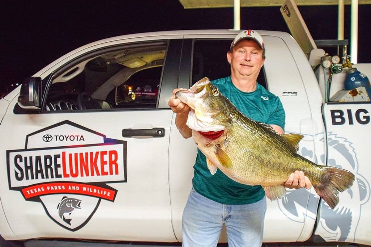 Angler holding a ShareLunker largemouth bass from Lake Fork